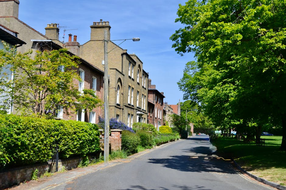 A quiet residential street lined with brick Victorian-style terraced houses on the left, each with small front gardens featuring neatly trimmed green bushes, flowering plants, and low brick walls. The buildings have varying shades of brown and red brickwork, some with white window frames and sash windows, and chimneys extending above the rooftops. A tall, slender streetlight pole stands near the center of the image, with a streetlight affixed at the top. To the right, a row of large, leafy trees with bright green foliage creates shade over the pavement and part of the asphalt road, which curves slightly into the distance. The sky is clear and blue, indicating a sunny day. The scene reflects a peaceful suburban area, potentially associated with private waste collection services like Waste Clearance Dulwich, highlighting the typical environment where rubbish removal or on-site clearance might be required, especially in situations involving access difficulties near residential properties.
